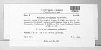 Puccinia recondita image